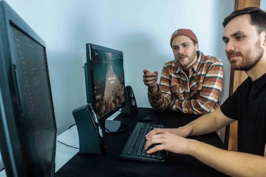 Babri Software, IT company run by two brothers